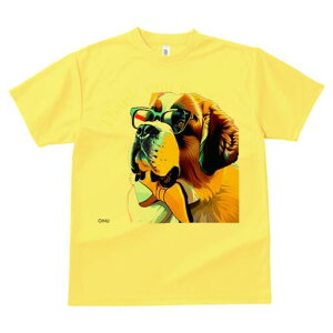 Zgo[i[h TVc fB[X t@  t  vg JWA 킢 lԗp h ̃fUC ʔ Kl Zgo[i[h CXg