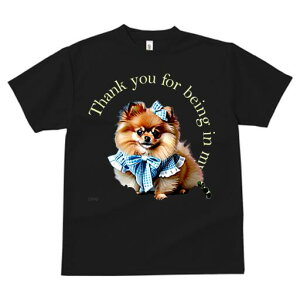 |jA TVc fB[X t@  t  vg JWA 킢 lԗp h ̃fUC ʔ  |jA {