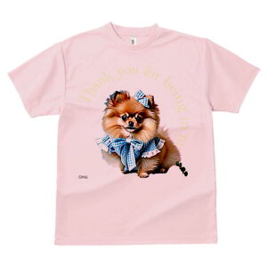 |jA TVc fB[X t@  t  vg JWA 킢 lԗp h ̃fUC ʔ  |jA {