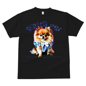 |jA TVc fB[X t@  t  vg JWA 킢 lԗp h ̃fUC ʔ TVc |jA 킢  t@bV