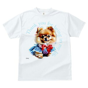 |jA TVc fB[X t@  t  vg JWA 킢 lԗp h ̃fUC ʔ { |jA 