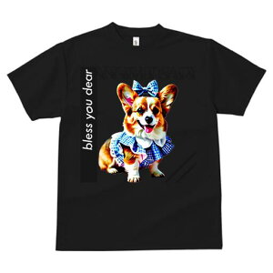 R[M[ TVc fB[X t@  t  vg JWA 킢 lԗp h ̃fUC ʔ { R[M[ 