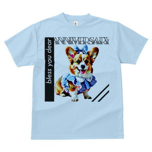 R[M[ TVc fB[X t@  t  vg JWA 킢 lԗp h ̃fUC ʔ { R[M[ 