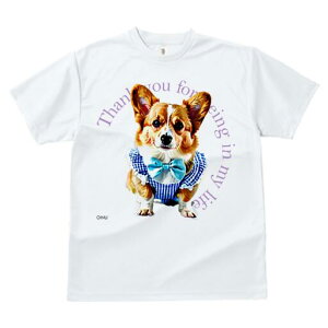 R[M[ TVc fB[X t@  t  vg JWA 킢 lԗp h ̃fUC ʔ  R[M[ lN^C