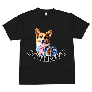 R[M[ TVc fB[X t@  t  vg JWA 킢 lԗp h ̃fUC ʔ  R[M[ s[X {