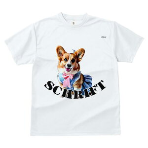 R[M[ TVc fB[X t@  t  vg JWA 킢 lԗp h ̃fUC ʔ  R[M[ s[X {