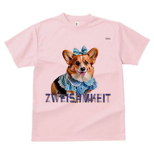 R[M[ TVc fB[X t@  t  vg JWA 킢 lԗp h ̃fUC ʔ  R[M[ {