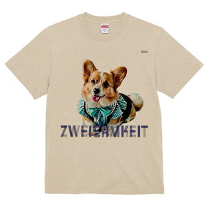 R[M[ TVc fB[X t@  t  vg JWA 킢 lԗp h ̃fUC ʔ  R[M[ lN^C