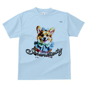 R[M[ TVc fB[X t@  t  vg JWA 킢 lԗp h ̃fUC ʔ { R[M[ 