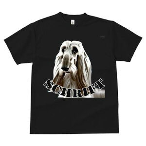 AtKnEh TVc fB[X t@  t  vg JWA 킢 lԗp h ̃fUC ʔ AtKnEh