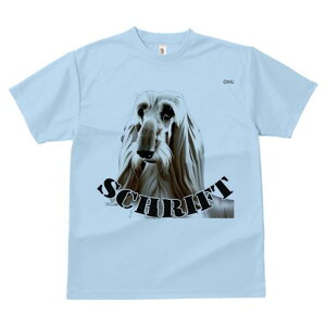 AtKnEh TVc fB[X t@  t  vg JWA 킢 lԗp h ̃fUC ʔ AtKnEh