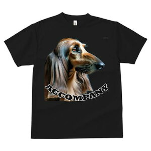 AtKnEh TVc fB[X t@  t  vg JWA 킢 lԗp h ̃fUC ʔ AtKnEh