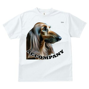 AtKnEh TVc fB[X t@  t  vg JWA 킢 lԗp h ̃fUC ʔ AtKnEh