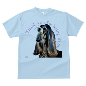 AtKnEh TVc fB[X t@  t  vg JWA 킢 lԗp h ̃fUC ʔ AtKnEh