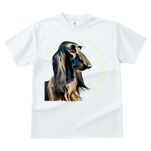 AtKnEh TVc fB[X t@  t  vg JWA 킢 lԗp h ̃fUC ʔ AtKnEh