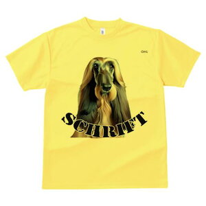 AtKnEh TVc fB[X t@  t  vg JWA 킢 lԗp h ̃fUC ʔ AtKnEh