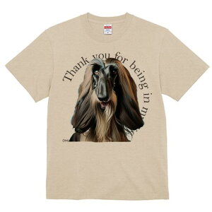 AtKnEh TVc fB[X t@  t  vg JWA 킢 lԗp h ̃fUC ʔ AtKnEh