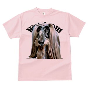 AtKnEh TVc fB[X t@  t  vg JWA 킢 lԗp h ̃fUC ʔ AtKnEh