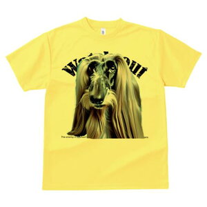 AtKnEh TVc fB[X t@  t  vg JWA 킢 lԗp h ̃fUC ʔ AtKnEh