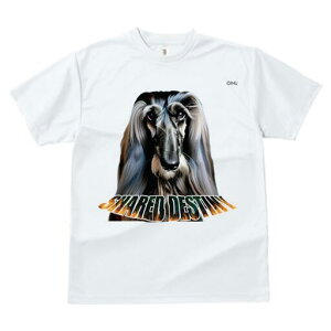 AtKnEh TVc fB[X t@  t  vg JWA 킢 lԗp h ̃fUC ʔ AtKnEh