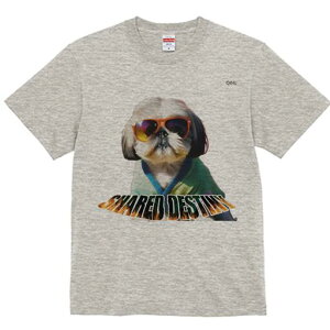 V[Y[ TVc fB[X t@  t  vg JWA 킢 lԗp h ̃fUC ʔ TOX V[Y[ 