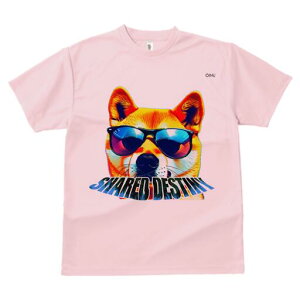 Č TVc fB[X t@  t  vg JWA 킢 lԗp h ̃fUC ʔ TOX Č