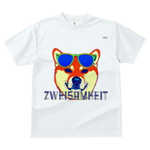 Č TVc fB[X t@  t  vg JWA 킢 lԗp h ̃fUC ʔ TOX Č