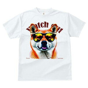 Č TVc fB[X t@  t  vg JWA 킢 lԗp h ̃fUC ʔ TOX Č