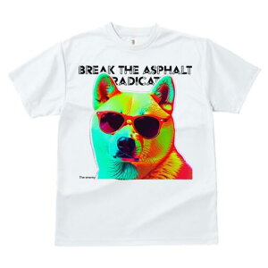 Hc TVc fB[X t@  t  vg JWA 킢 lԗp h ̃fUC ʔ TOX Hc