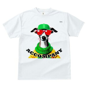 C^AO[nEh TVc fB[X t@  t  vg JWA 킢 lԗp h ̃fUC ʔ Xq C^AO[nEh TOX 