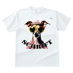 C^AO[nEh TVc fB[X t@  t  vg JWA 킢 lԗp h ̃fUC ʔ Xq C^AO[nEh TOX 