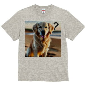 S[fgo[ TVc fB[X t@  t  vg JWA 킢 lԗp h ̃fUC ʔ r[` S[fgo[