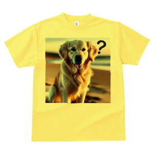 S[fgo[ TVc fB[X t@  t  vg JWA 킢 lԗp h ̃fUC ʔ r[` S[fgo[