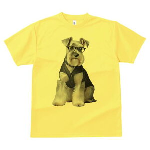 ~j`AViEU[ TVc fB[X t@  t  vg JWA 킢 lԗp h ̃fUC ʔ Kl ~j`AViEU[ X[c