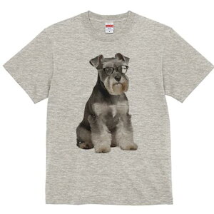 ~j`AViEU[ TVc fB[X t@  t  vg JWA 킢 lԗp h ̃fUC ʔ Kl ~j`AViEU[