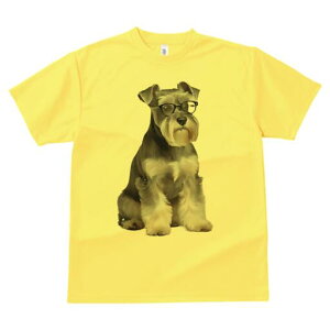 ~j`AViEU[ TVc fB[X t@  t  vg JWA 킢 lԗp h ̃fUC ʔ Kl ~j`AViEU[