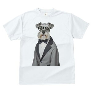 ~j`AViEU[ TVc fB[X t@  t  vg JWA 킢 lԗp h ̃fUC ʔ Kl ~j`AViEU[ lN^C X