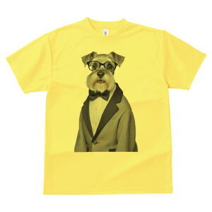 ~j`AViEU[ TVc fB[X t@  t  vg JWA 킢 lԗp h ̃fUC ʔ Kl ~j`AViEU[ lN^C X