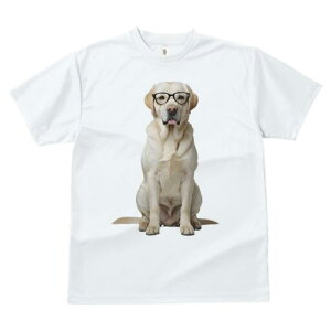 uh[go[ TVc fB[X t@  t  vg JWA 킢 lԗp h ̃fUC ʔ Kl uh[go[