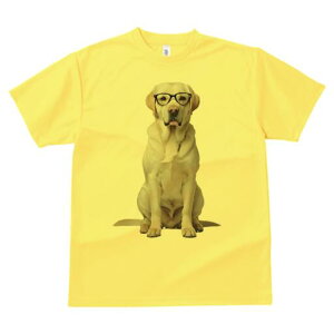 uh[go[ TVc fB[X t@  t  vg JWA 킢 lԗp h ̃fUC ʔ Kl uh[go[