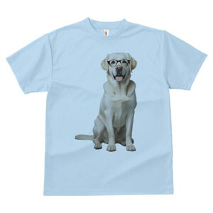 uh[go[ TVc fB[X t@  t  vg JWA 킢 lԗp h ̃fUC ʔ Kl uh[go[