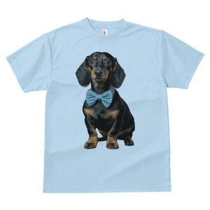 _bNXth TVc fB[X t@  t  vg JWA 킢 lԗp h ̃fUC ʔ lN^C _bNXth