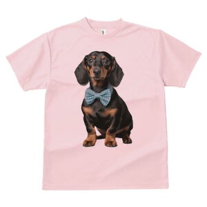 _bNXth TVc fB[X t@  t  vg JWA 킢 lԗp h ̃fUC ʔ lN^C _bNXth