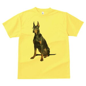 h[x} TVc Y LbY t@  t  vg JWA 킢 lԗp h ̃fUC ʔ Kl h[x}