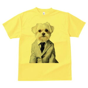 }`[Y TVc fB[X t@  t  vg JWA 킢 lԗp h ̃fUC ʔ X[c }`[Y lN^C