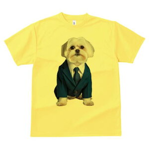 }`[Y TVc fB[X t@  t  vg JWA 킢 lԗp h ̃fUC ʔ X[c }`[Y lN^C rWlX