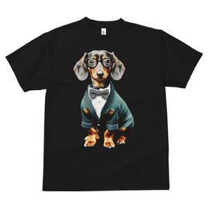 _bNXth TVc fB[X t@  t  vg JWA 킢 lԗp h ̃fUC ʔ lN^C _bNXth X[c ዾ