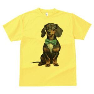 _bNXth TVc fB[X t@  t  vg JWA 킢 lԗp h ̃fUC ʔ lN^C _bNXth ^LV[h