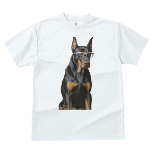 h[x} TVc Y LbY t@  t  vg JWA 킢 lԗp h ̃fUC ʔ Kl h[x}