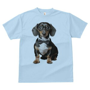 _bNXth TVc fB[X t@  t  vg JWA 킢 lԗp h ̃fUC ʔ lN^C _bNXth ዾ